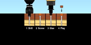 Starborn Pro Plug® Fastener, #8 Screw & Plug Pack (VARIOUS)-image